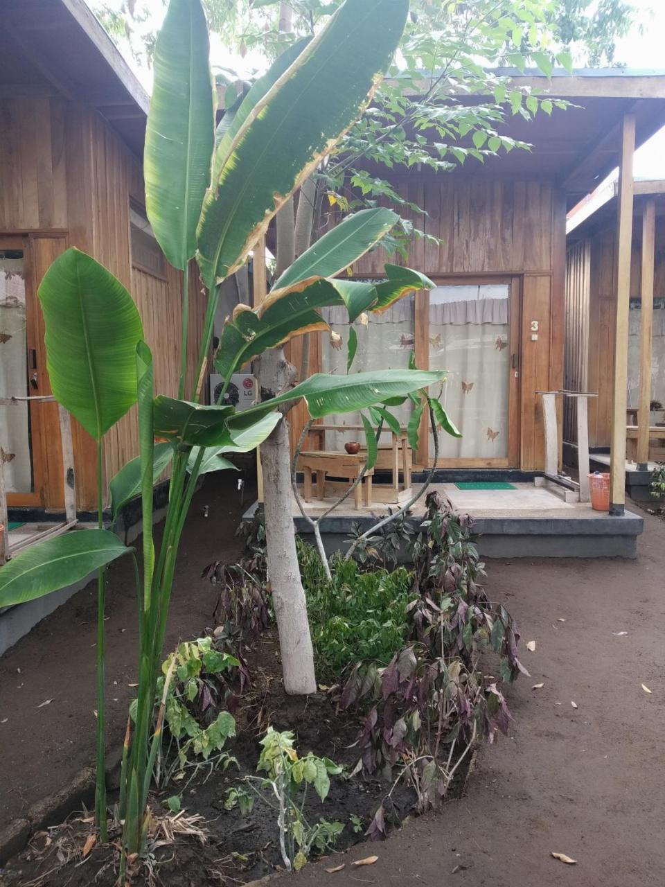 Beach Box Bungalow Gili Trawangan Exterior photo